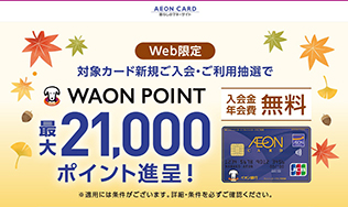 イオンカード(WAON一体型)・キャンペーン画像